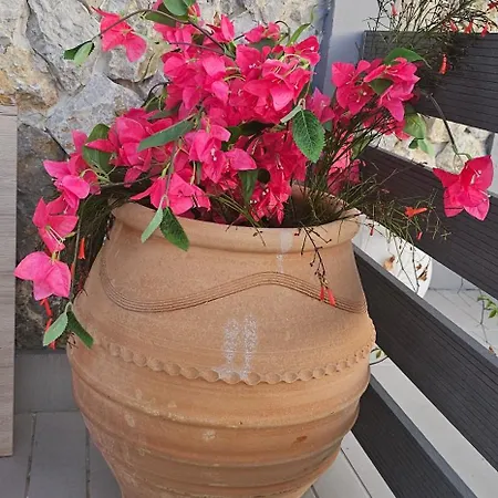 Alora House 2 * Kefalos (Kos)